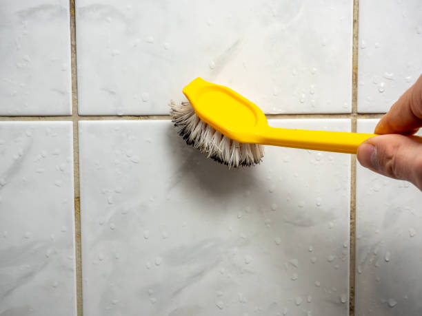 Best Certified Mold Removal  in Mcconnell Af, KS