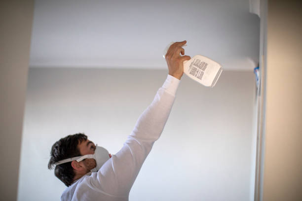 Mold Removal Process in Mcconnell Af, KS