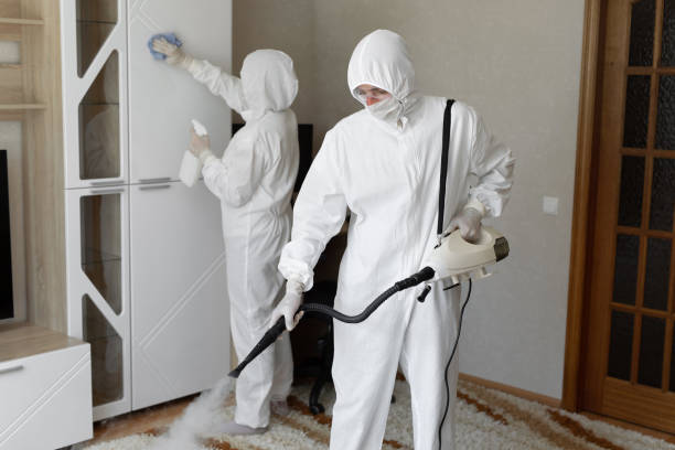 Best Mold Removal and Inspection  in Mcconnell Af, KS