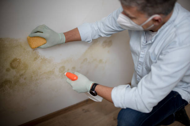 Best Professional Mold Removal  in Mcconnell Af, KS