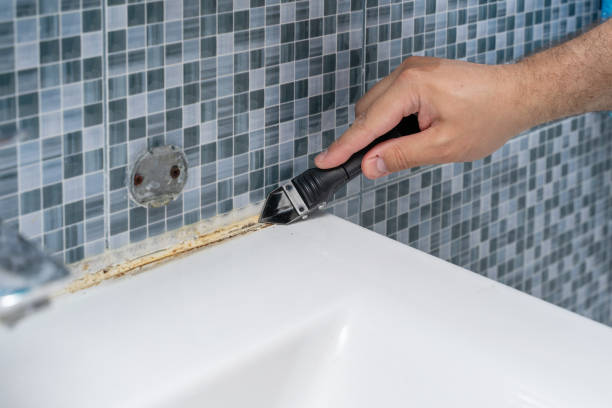 Best Mold Removal Company Near Me  in Mcconnell Af, KS