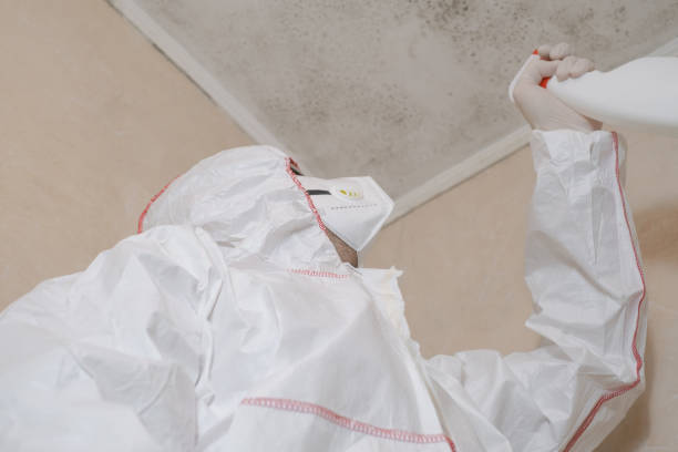 Best Mold Testing and Removal  in Mcconnell Af, KS