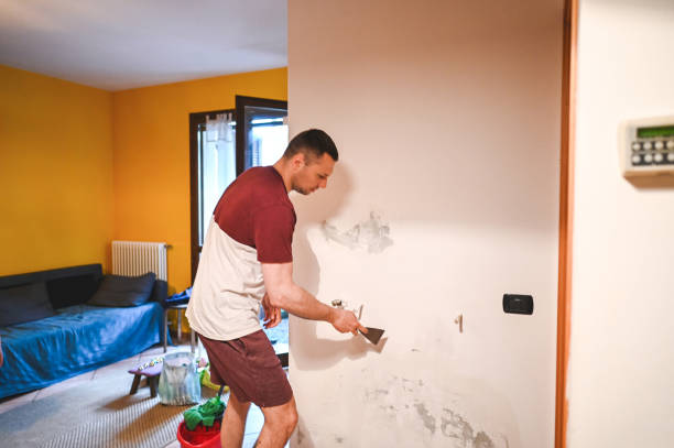 Best Attic Mold Removal  in Mcconnell Af, KS