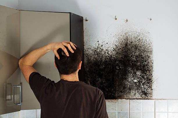 Best Commercial Mold Removal  in Mcconnell Af, KS